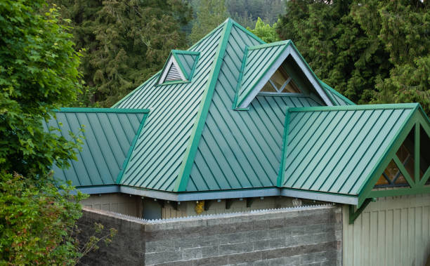 Best Roof Coating and Sealing  in St Johns, MI