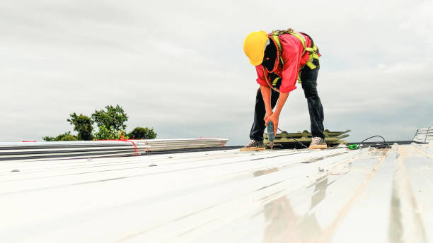 Best Asphalt Shingle Roofing  in St Johns, MI