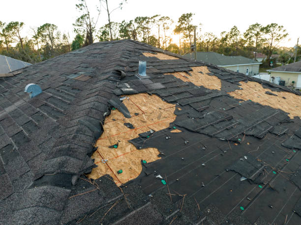 Best Chimney Flashing Repair  in St Johns, MI