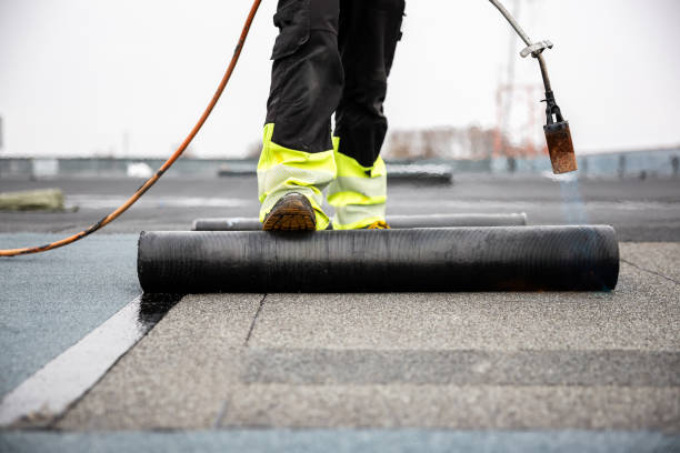 Best Roof Insulation Installation  in St Johns, MI
