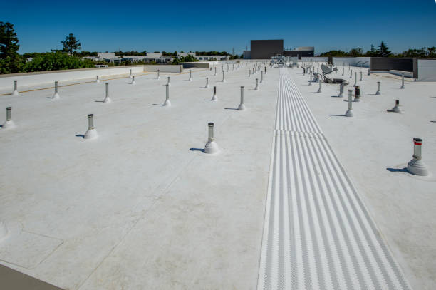 Best Roof Moss and Algae Removal  in St Johns, MI